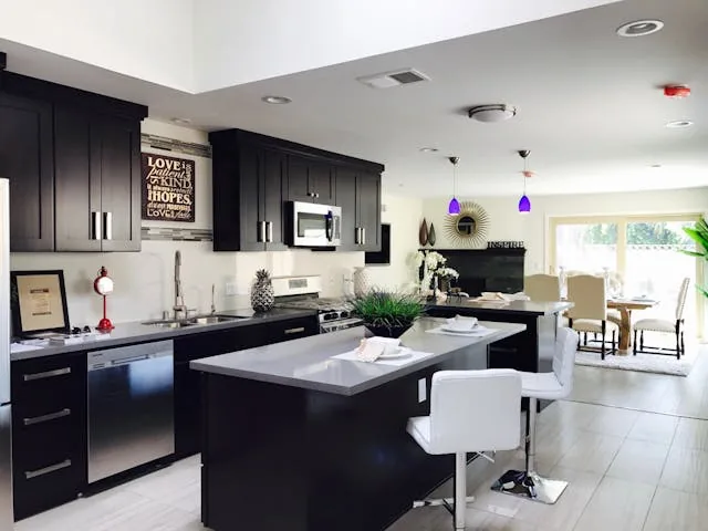 Kitchen with Black cupboards (2)